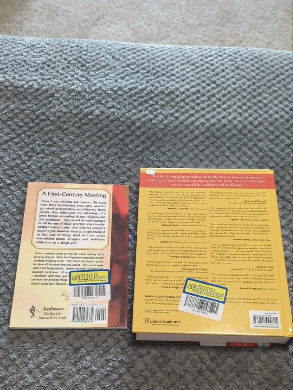 Introducing the New Testament - Red Hardcover by Mark Allan Powell